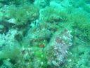 DSC00069.JPG