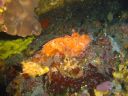 DSC00073.JPG