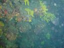 DSC00085.JPG