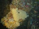 DSC00087.JPG