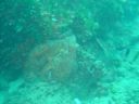 DSC00093.JPG
