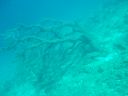 DSC00096.JPG