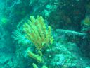 DSC00097.JPG