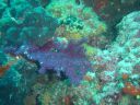 DSC00098.JPG