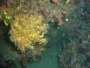 DSC00102.JPG