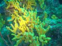 DSC00103.JPG