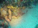 DSC00105.JPG