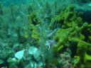 DSC00111.JPG