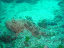 DSC00116.JPG