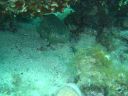 DSC00117.JPG