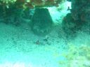 DSC00118.JPG