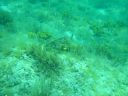 DSC00123.JPG