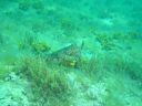 DSC00124.JPG