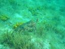 DSC00125.JPG