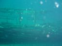 DSC00199.jpg