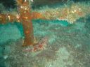 DSC00207.jpg