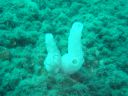 DSC00212.jpg