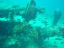 DSC00215.jpg