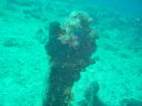 DSC00216.jpg
