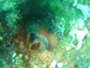 DSC00220.jpg