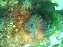 DSC00221.jpg