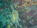 DSC00224.jpg