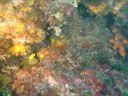 DSC00225.jpg