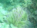 DSC00226.jpg