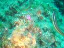 DSC00228.jpg
