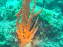 DSC00231.jpg