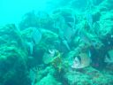 DSC00232.jpg