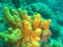 DSC00233.jpg
