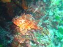 DSC00234.jpg