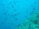 DSC00235.jpg