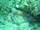 DSC00236.jpg