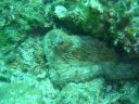DSC00237.jpg