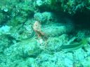 DSC00239.jpg