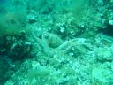 DSC00240.jpg