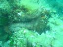 DSC00242.jpg