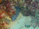 DSC00249.jpg