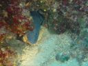DSC00250.jpg
