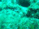 DSC00251.jpg