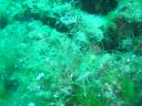 DSC00252.jpg