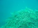 DSC00254.jpg