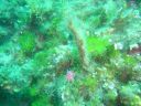 DSC00256.jpg