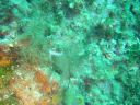 DSC00257.jpg