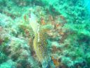 DSC00265.jpg