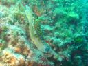 DSC00266.jpg