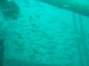 DSC00273.jpg