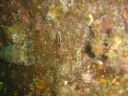 DSC00285.jpg